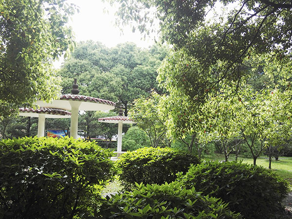 校園環(huán)境 校園環(huán)境