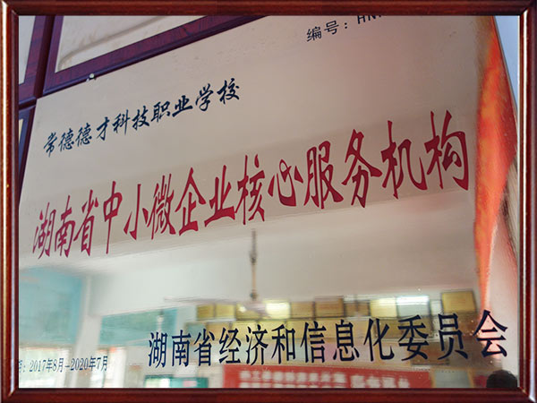 湖南省中小微企業(yè)核心服務機構(gòu)