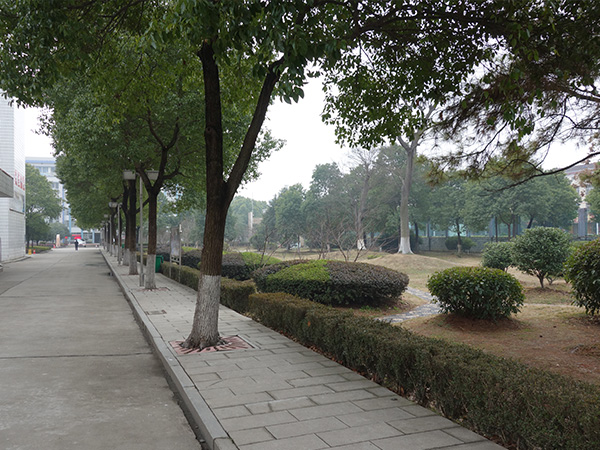 校園環(huán)境 校園環(huán)境