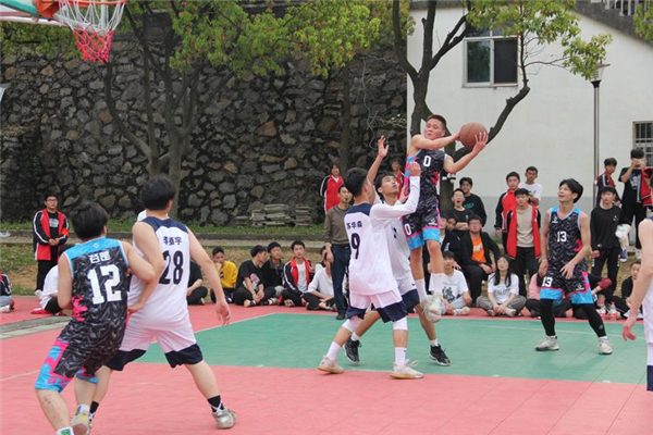 常德德才科技職業(yè)學校,常德招生就業(yè),電子商務(wù)專業(yè)學校,專業(yè)學校報考哪里好
